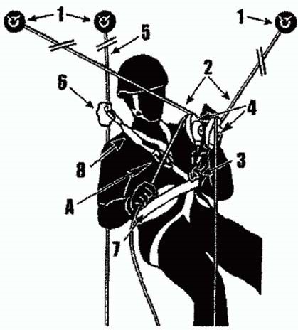 51
