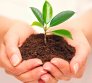 Охрана земель и недр, растительного мира