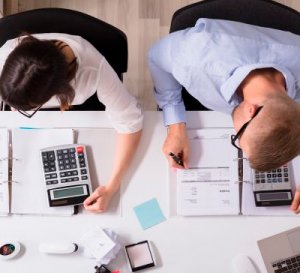 Представление интересов Заказчика в Минприроды и при проверках