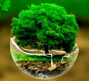 Разработка раздела проекта «Охрана окружающей среды»