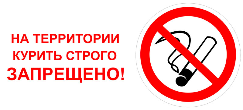 Курение сотрудников в рабочее время: курение не вредно?